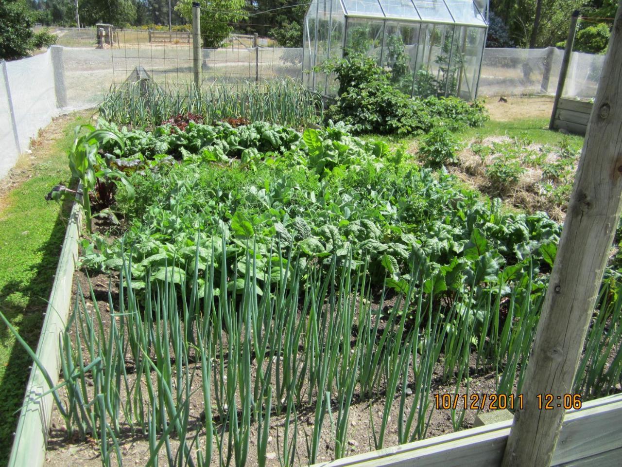 Hawkdun Rise Vineyard & Accommodation Alexandra Exterior photo